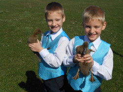 Petting20Zoo20Pittsburgh20PA2015 1741282276 Petting Zoo Party With Pony to Pet! (Pony Rides Opt.)