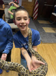 Reptile20Show20Pittsburgh20PA201 1741118413 Exotic Animal Show (Birds, Reptiles, and Small Petting Zoo)